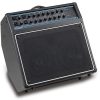 Acoustic AG60 Acoustic Guitar Combo